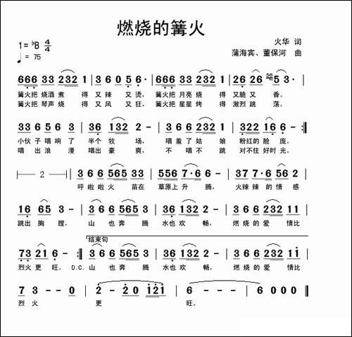 燃烧的篝火