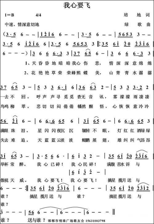 我心要飞