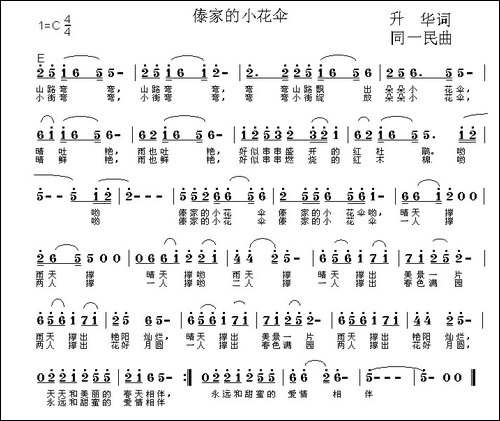 傣家的小花伞