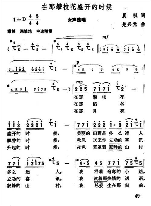 在那攀枝花盛开的时候