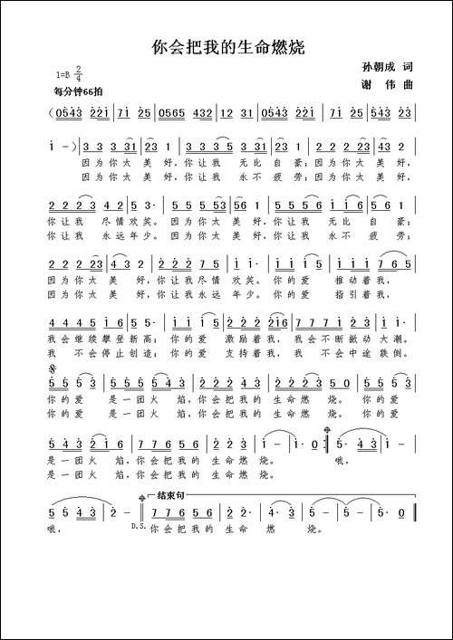 你会把我的生命燃烧-孙朝成词--谢伟曲