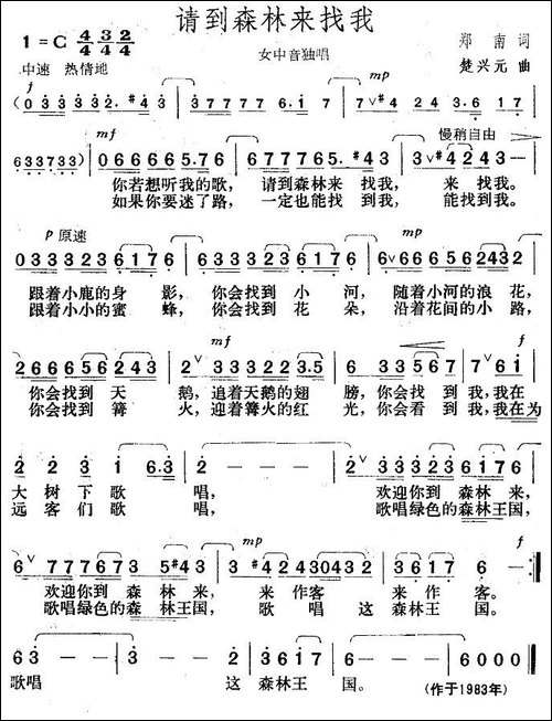请到森林来找我