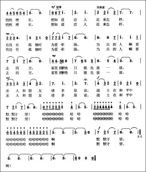 他在那里站岗-王磊词-王训军曲