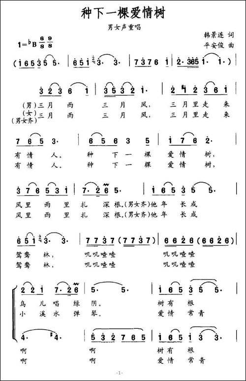 种下一棵爱情树-韩景连词-平安俊曲