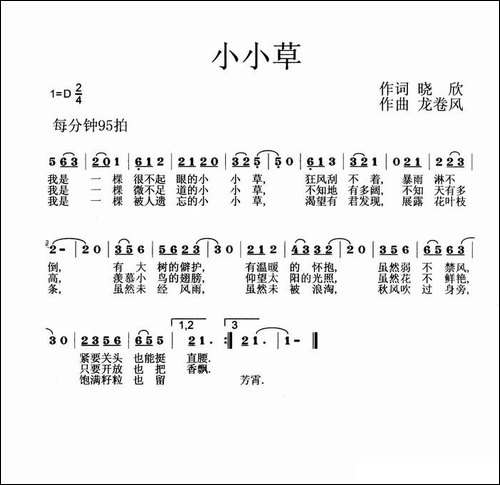 小小草-晓欣词-龙卷风曲