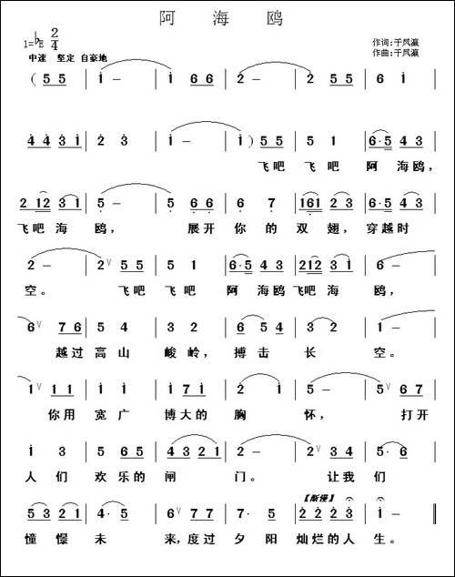 阿海鸥