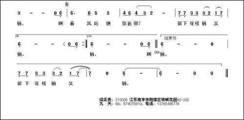 春风姑娘